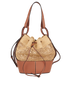 Balloon Bag, back view
